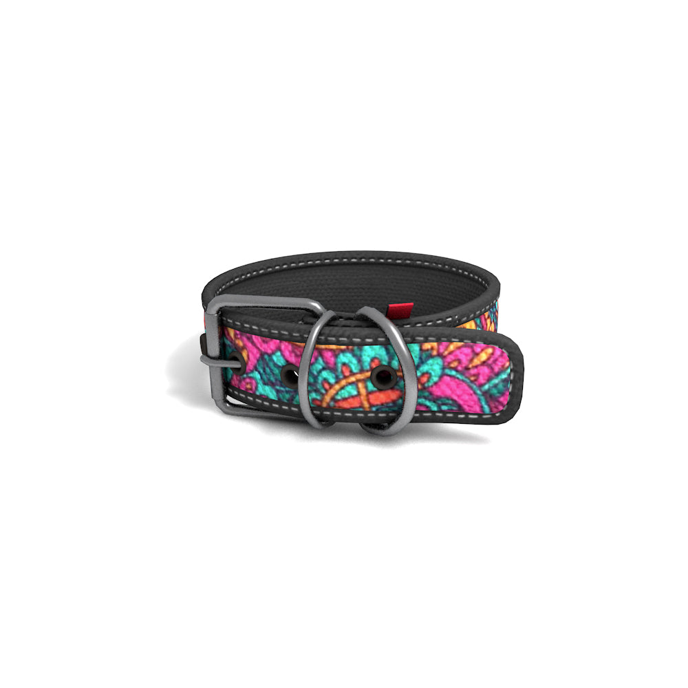 Collar Perro Collar Perro